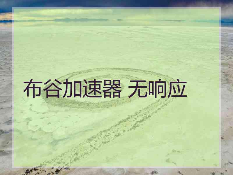 布谷加速器 无响应
